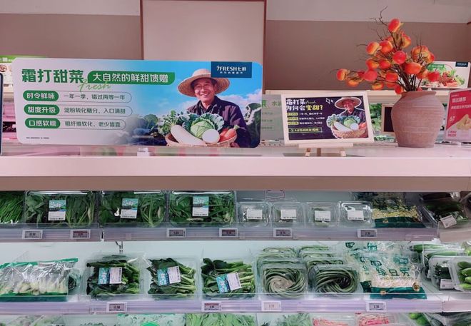 糖京东七鲜重新定义霜打菜标准！AG真人百家家乐平台霜打菜也测(图2)